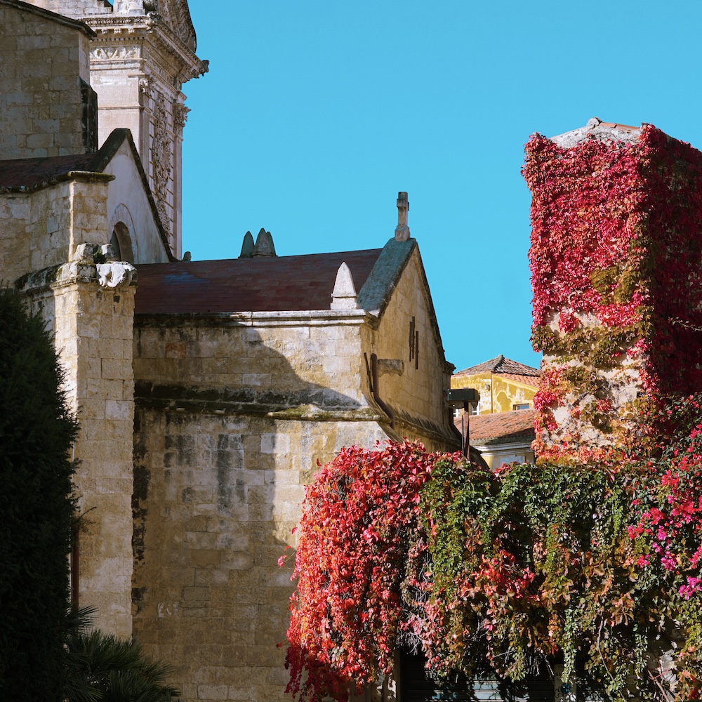 Dove mangiare a Sassari: 24 ore in città dal pranzo alla cena