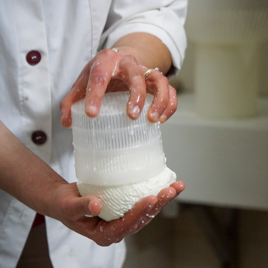 Mangiare a Carovigno: viaggio gastronomico in Puglia nel paese dell’alto Salento