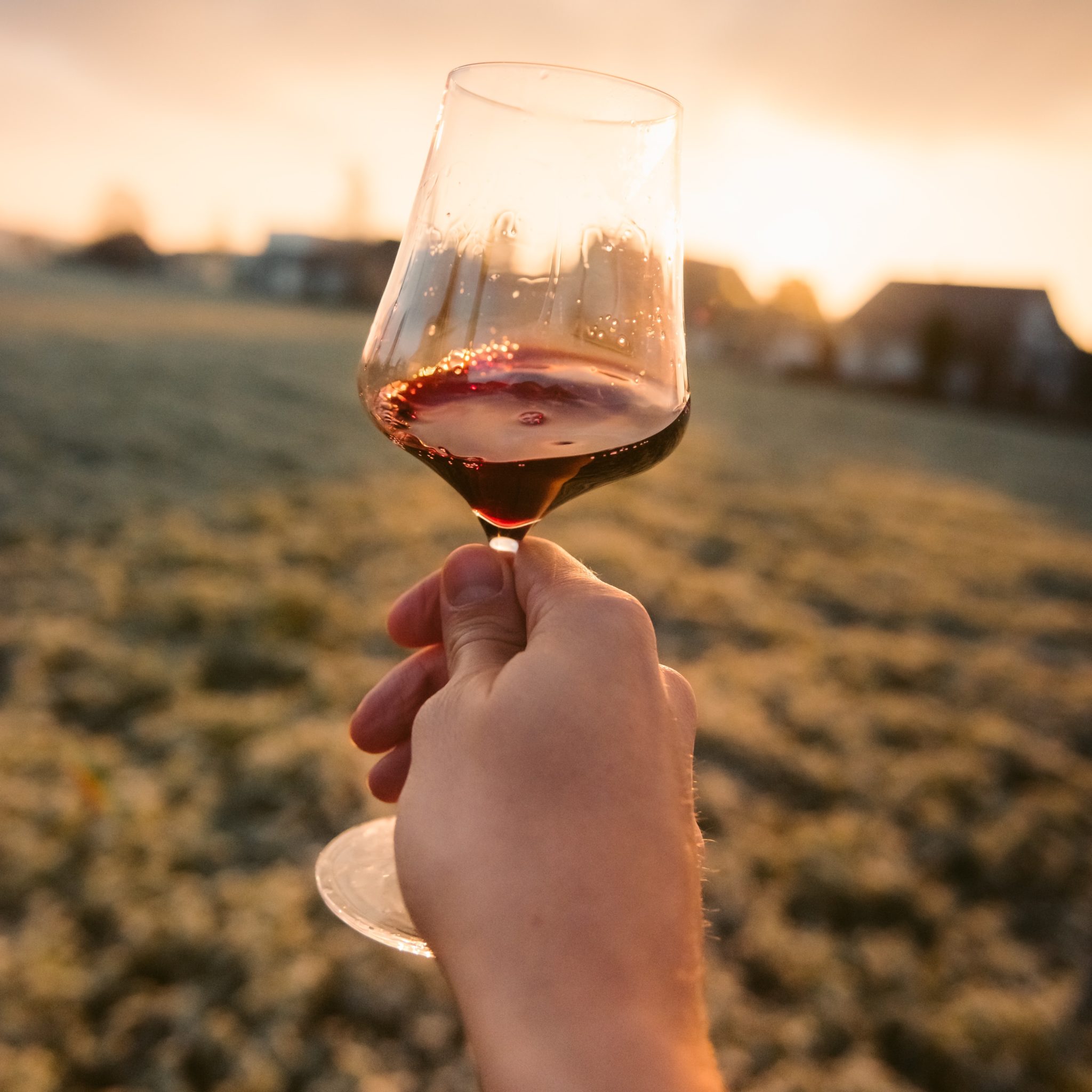 B-asta incendi: 109 cantine d’Italia insieme per ricostruire il Montiferru