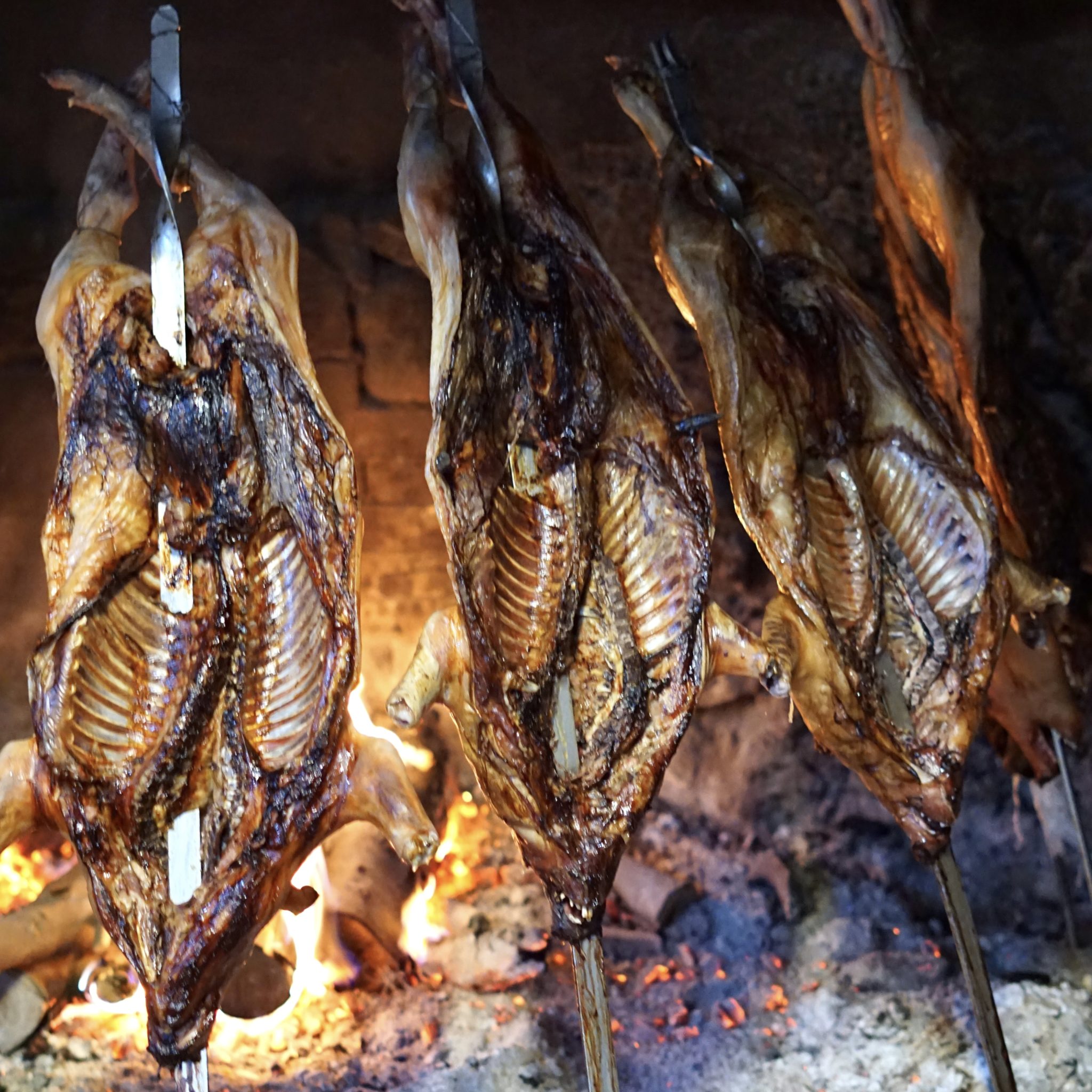 Agriturismo ad Alghero: viaggio nella cucina tipica sarda di Sa Mandra