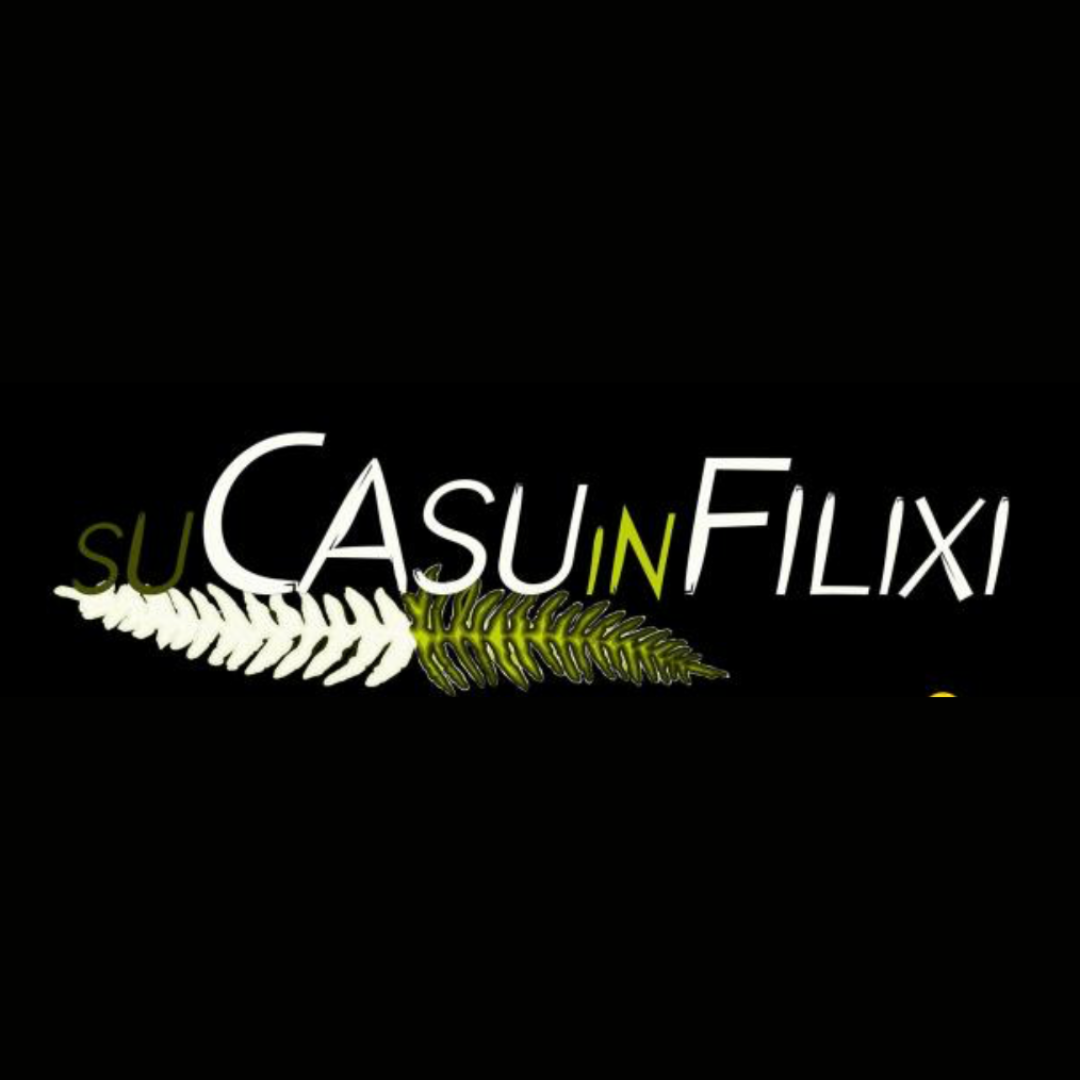 Casu in filixi – Seulo